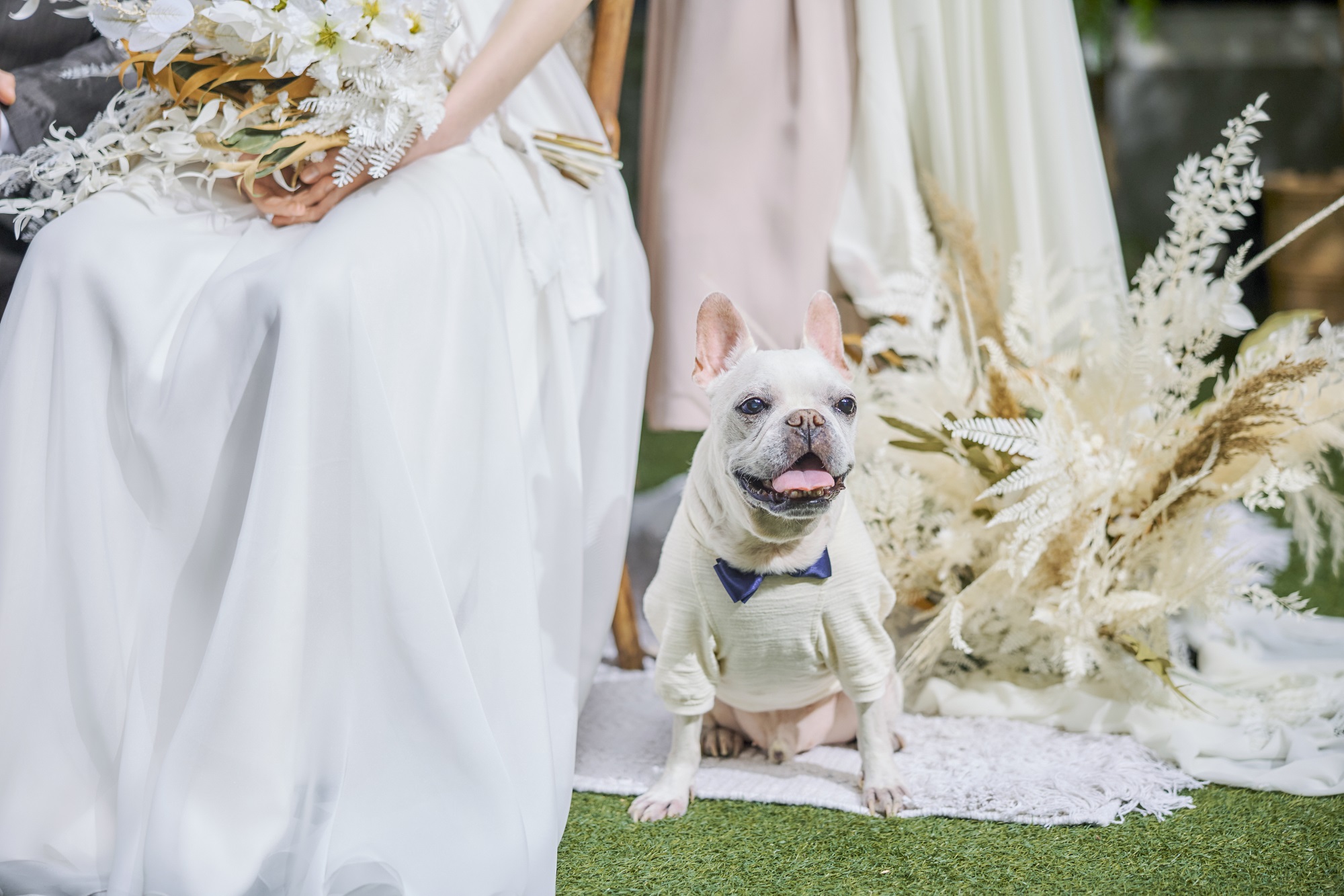 ペットと過ごす結婚式